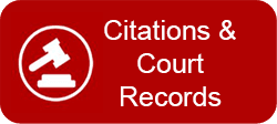 Court-Citations Button